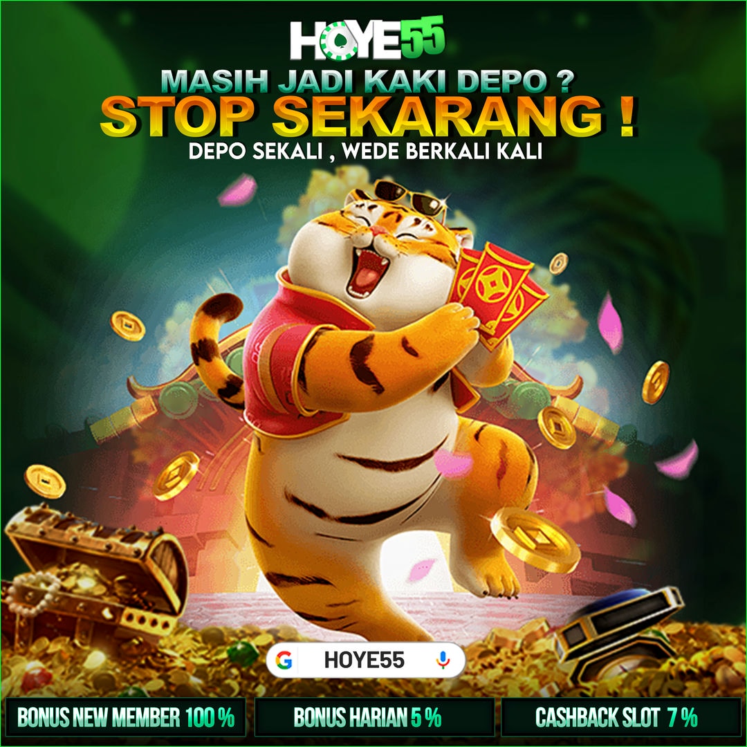 HOYE55 informasi 2