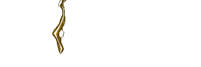Logo ZEUS838